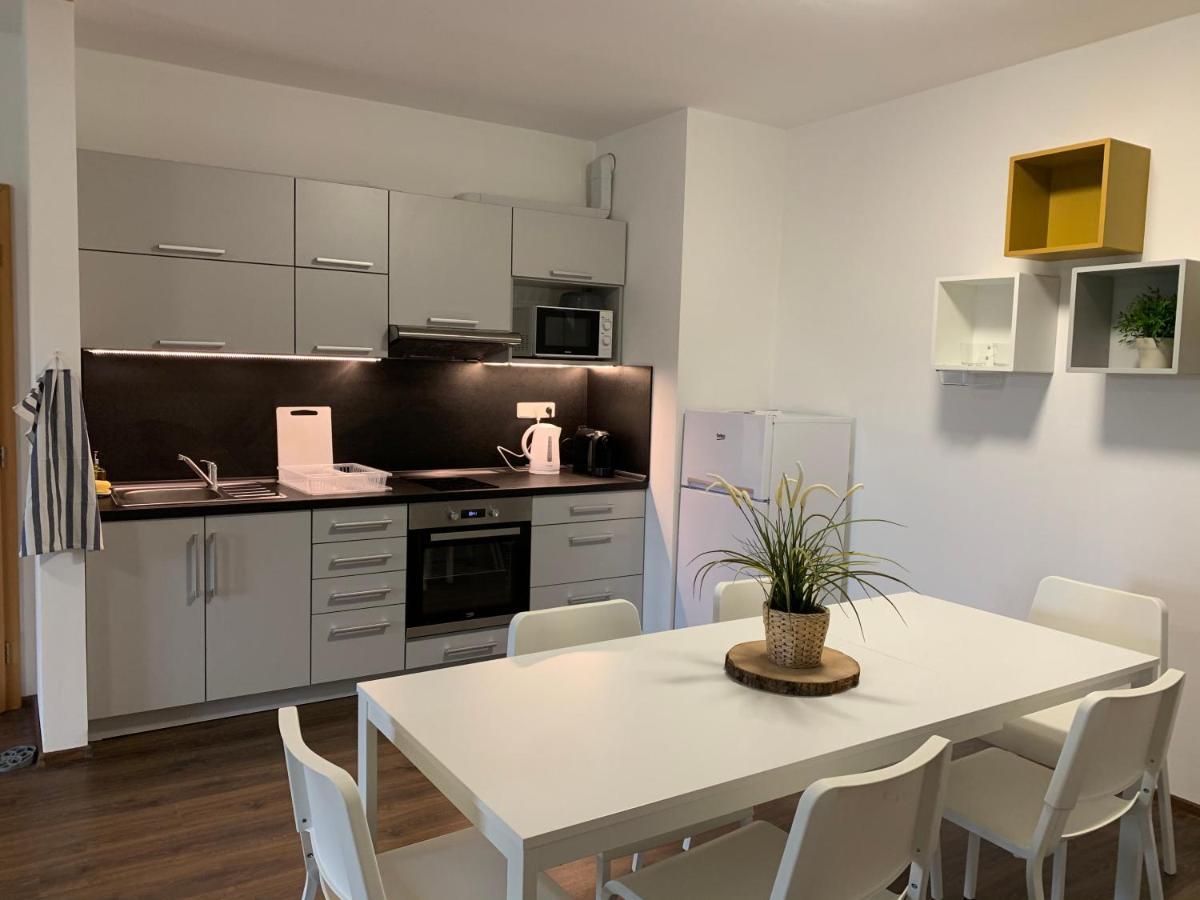 Apartmany Stare-Hory Krkonose Roudnice المظهر الخارجي الصورة