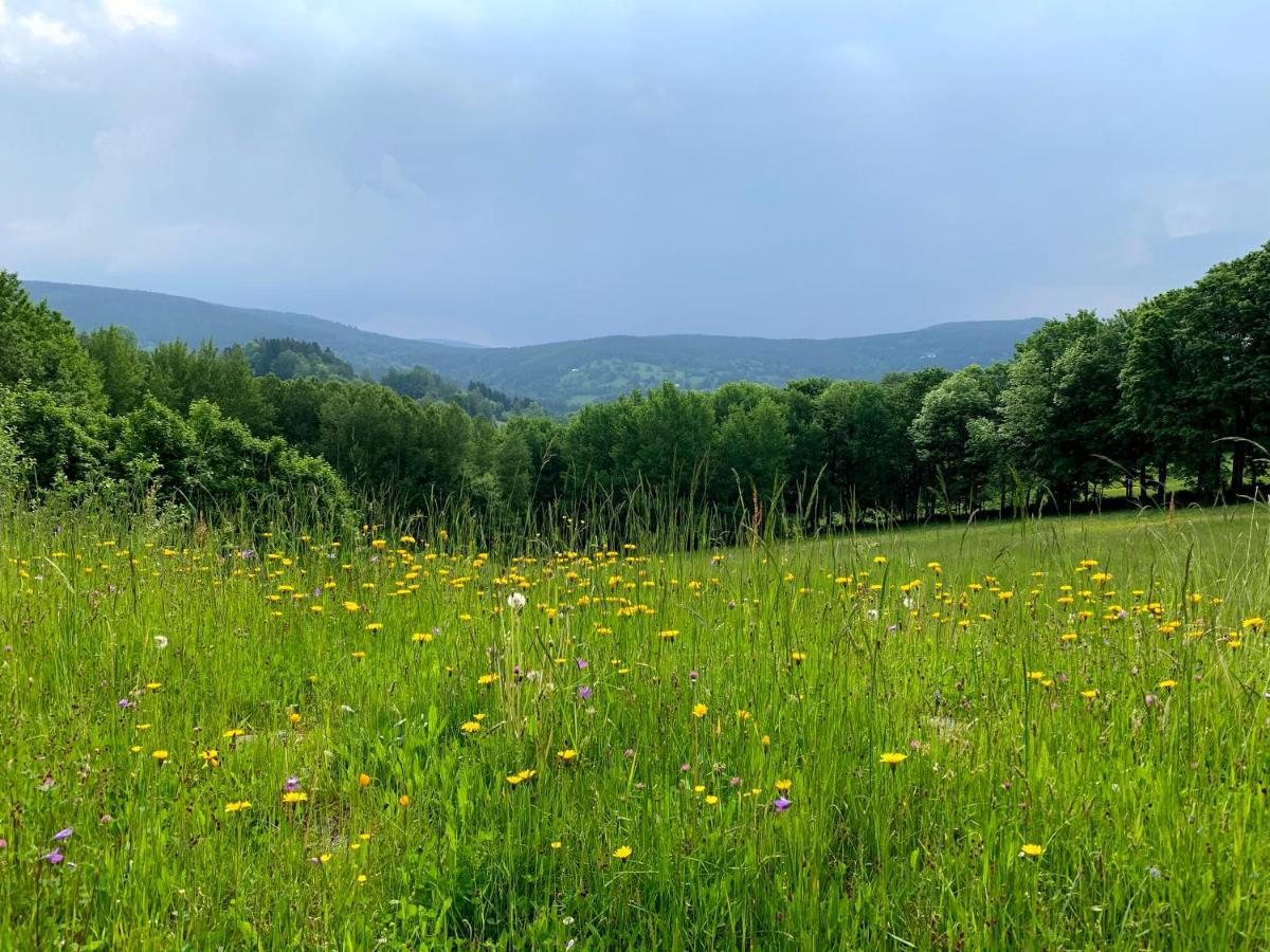 Apartmany Stare-Hory Krkonose Roudnice المظهر الخارجي الصورة
